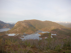 Krumfjellet