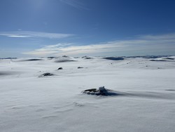 Sørbølfjellet Nordøst