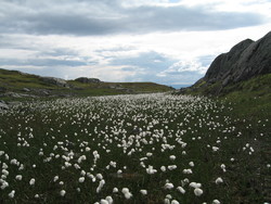 Punkt nordvest for Rensfjellet