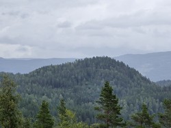 Høgåsen