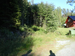 Kukollen og Røysekollen parkeringsplass