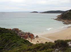 Whisky Bay