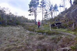 Kveldsol (tuft), Løvstakken