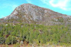 Vardfjellet