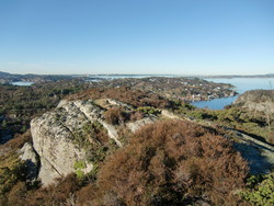 Storanipa, Litlesotra