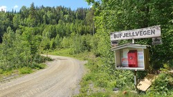 Bufjellvegen