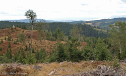 Bokkrudstadåsen sør