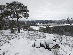 Trollskardhaugen