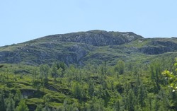 Dalastaulnuten