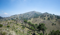 Ajusco