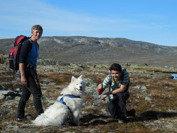 Aursjøhøe Vesttoppen