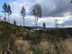 Utsikt mot Maridalsvannet