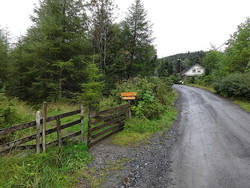 Tursti Stemnehornet - Svarane - Høgåsen