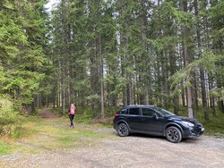 Hovdekollen parkering