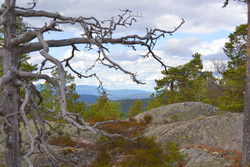 Helsokknatten Nordøst