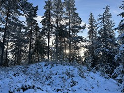 Hanatjennberget Sør