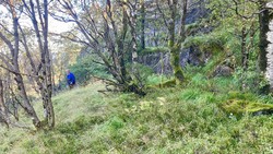 Tuft nord for Helgheim