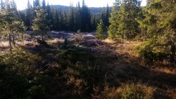 Nordre Sjogevatnet, nord for