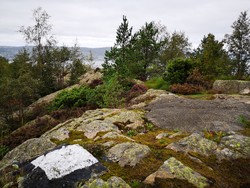 Ørneberget NV