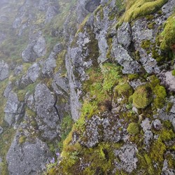 Mosette sva - Trollvasstindtravers