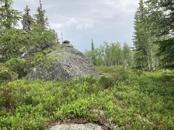 Storflåtaflaka nordøst