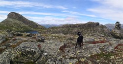 Sør for Hydnefossen