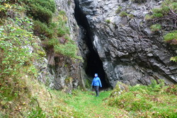 Bjørnaremshellerane