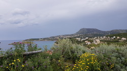 Kokkino Chorios topp