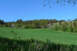 Grauaåsen