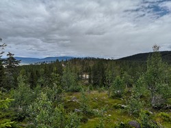 Svartåsen