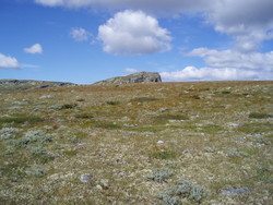 Hyllefjellet