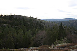 Berganvarden