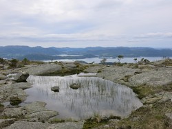 Nord for Viddasfjellet