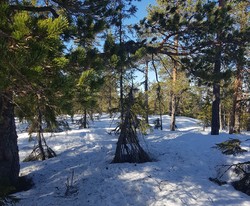 Øst for Helletjernet