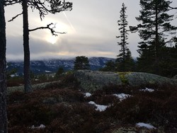 Gravaråsen