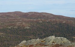 Rauddalsfjellet