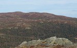Rauddalsfjellet