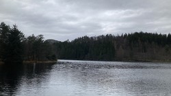 Haug nord for Svartatjørna