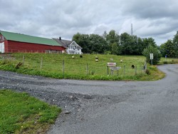 Krakkanuten parkering