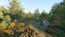 Lauvåsåsen