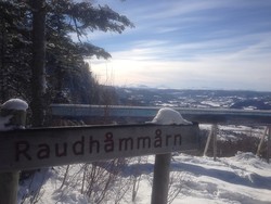 Raudhammårn