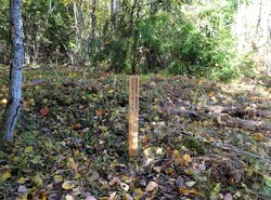 Holmestrand kommunes geografiske midtpunkt