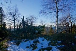 Stubberudseterhøgda