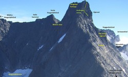 Storen - svaene i sørflanken