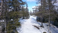 Borgersætra nordøst for