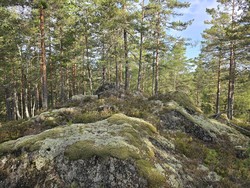 Øst for Bergseterbekken Nord
