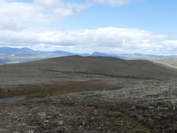 Avsjøhøe Nordøstryggen