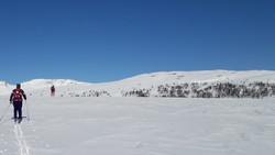 Leppfjellet