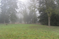 Erhebung am Friedehorstpark