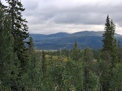 Midtiklumpen, Bielnie